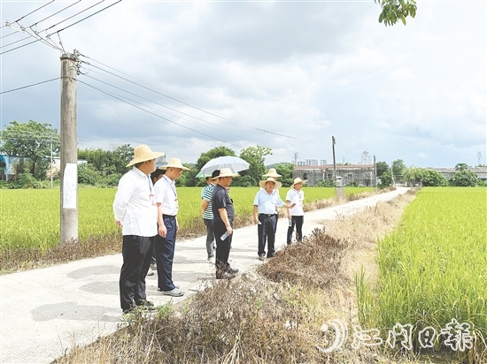 人大代表們到石青村視察典型村建設(shè)情況。