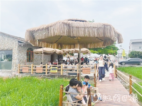 牛江鎮(zhèn)牛欄咖啡吸引諸多游客前來打卡。