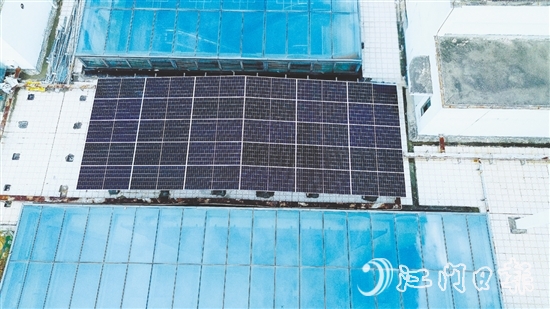 臺山市檔案館建筑屋頂上，一片深藍(lán)色的“光能矩陣”正悄然形成。