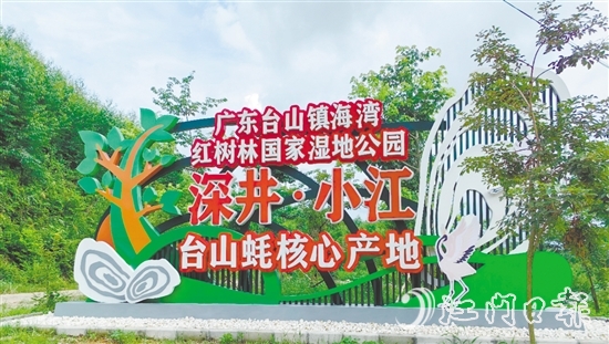 深井鎮(zhèn)小江村是國(guó)家地理標(biāo)志農(nóng)產(chǎn)品“臺(tái)山蠔”核心產(chǎn)區(qū)、蠔苗養(yǎng)殖主產(chǎn)區(qū)，也是廣東臺(tái)山鎮(zhèn)海灣紅樹林國(guó)家濕地公園東北入口。
