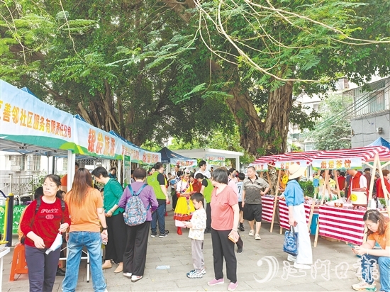 社區(qū)社會企業(yè)將利潤按比例反哺社區(qū)公益,形成“服務(wù)—收益—反哺”的良性循環(huán)。圖為蓬江區(qū)善鄰社區(qū)服務(wù)有限公司在象山社區(qū)開展銀發(fā)經(jīng)濟(jì)集市活動。