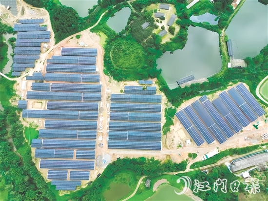光伏板發(fā)的電不僅滿足養(yǎng)雞場自身需求，還能并入電網(wǎng)，產(chǎn)生經(jīng)濟效益。