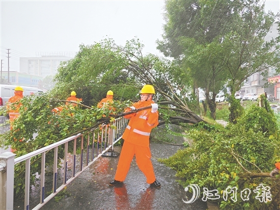 工作人員冒著風(fēng)雨作業(yè)，清理倒伏樹木。