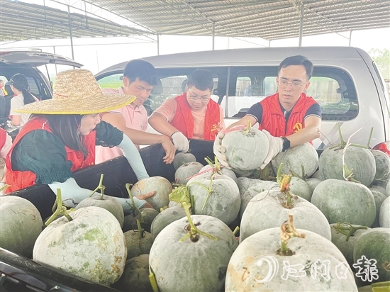 “田間黨?！苯M織青年干部參與助農(nóng)活動(dòng)。