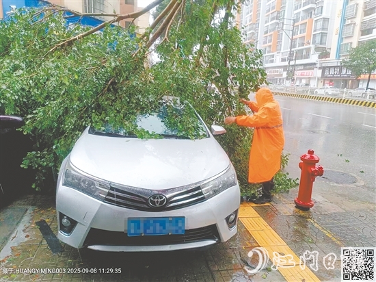 平安產(chǎn)險(xiǎn)查勘員在巡查中看到一輛汽車被倒下的大樹壓住，馬上聯(lián)系車主并協(xié)助清理。
