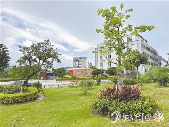 口袋公園不僅為社區(qū)拓展了綠色空間，更成了居民茶余飯后的休閑新去處。