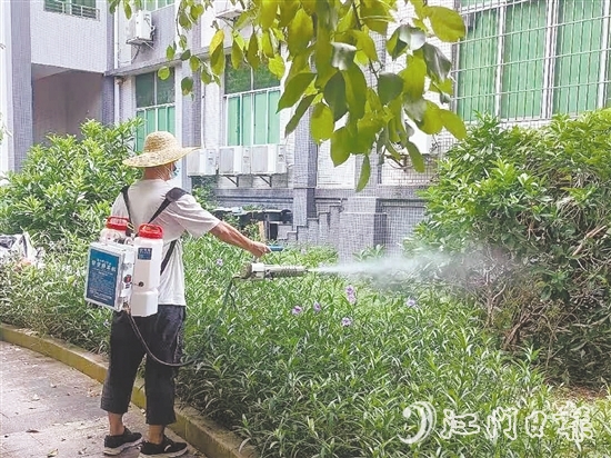 臺(tái)山發(fā)動(dòng)全市力量，從環(huán)境整治、科學(xué)消殺到宣傳教育，開展一場全域動(dòng)員、全民參與的防蚊滅蚊攻堅(jiān)戰(zhàn)。