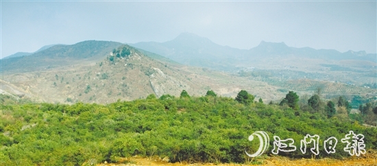 利奧集團(tuán)經(jīng)過多番考察，尋找到合適的山地種植油茶樹。