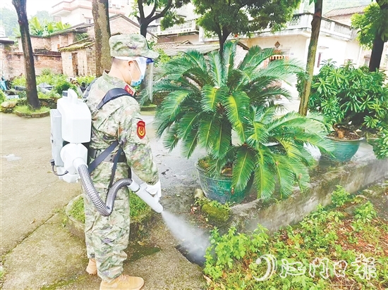 張家雄開(kāi)展蚊蟲(chóng)消殺工作。