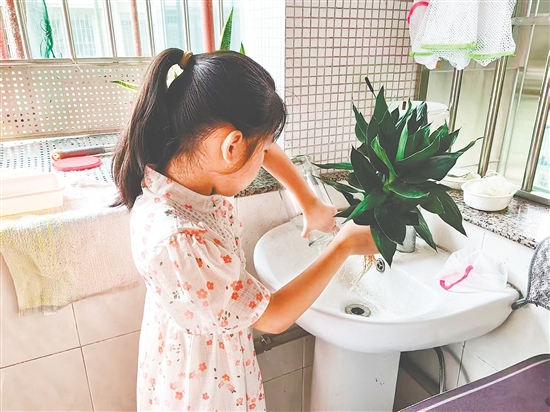 豐樂(lè)小學(xué)學(xué)生清理家里花瓶的積水。
