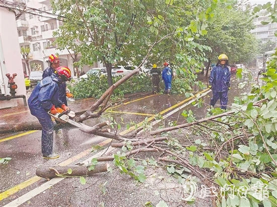 江南街道工作人員清理倒伏樹木。