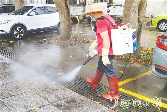 鶴山市各學(xué)校組建教師消殺志愿隊(duì)，聯(lián)合專業(yè)消殺人員對(duì)校園重點(diǎn)區(qū)域進(jìn)行精細(xì)化滅蚊作業(yè)。