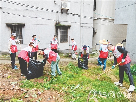 恩平市政協(xié)委員到基層參與環(huán)境整治。