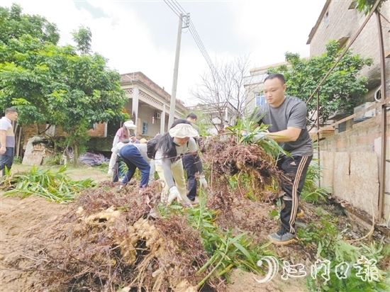 沙坪街道林屋村開展“兩清一滅”行動。