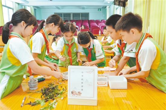 沙坪街道第三小學(xué)將防蚊知識(shí)延伸至勞動(dòng)課堂，開設(shè)巧制防蚊中草藥香囊課程。