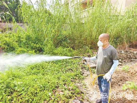 馮伙強改裝的噴霧器滅蚊效果良好，廣受村民稱贊。