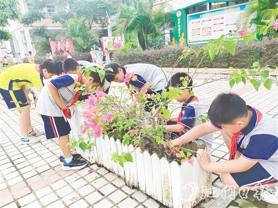 各學(xué)校組織開展校園清理行動(dòng)，少先隊(duì)員們積極參與。