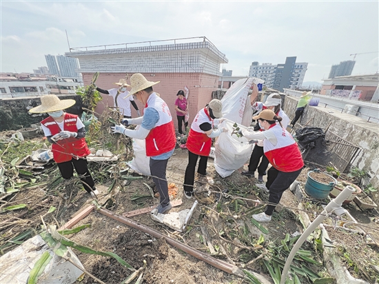 開平市各民主黨派、工商聯(lián)等組織志愿者清理蚊媒孳生地，開展愛國衛(wèi)生運動。