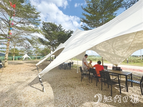 生態(tài)園新開辟的露營區(qū)。