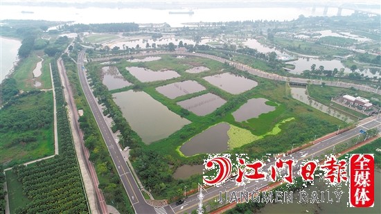 蓬江18號地實景圖。
