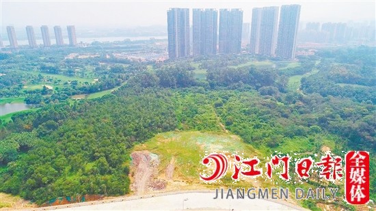 蓬江區(qū)豬乸環(huán)地段地塊實景圖。