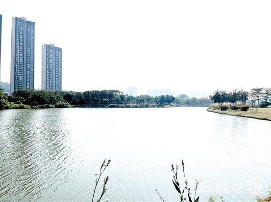近年來，江門居住環(huán)境越來越好。