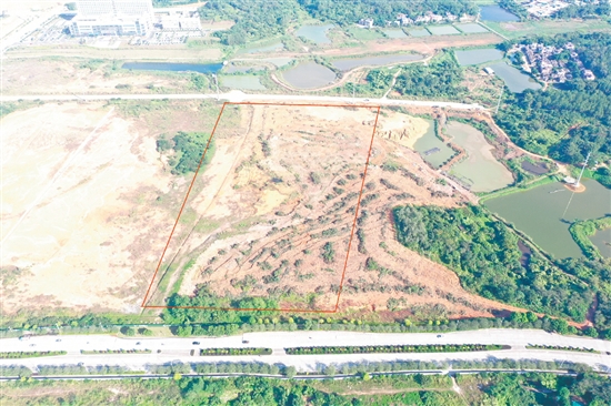 臺山市本次計劃收儲地塊涉及范圍廣。