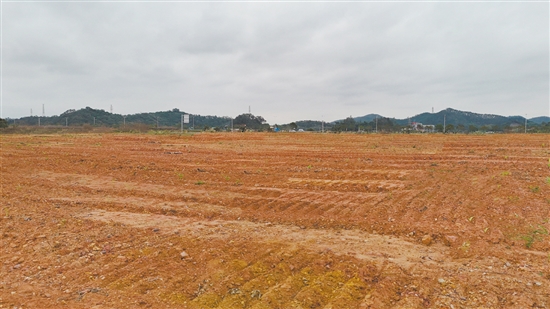 該地塊位于新會(huì)區(qū)江睦新能源雙碳產(chǎn)業(yè)園新中公路北側(cè)、勝利南路南延線西側(cè)。