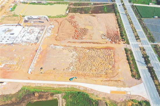 江門市JCR2025-65（開平06）號地。
