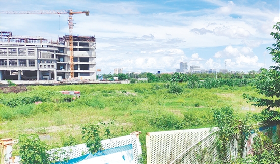 江門(mén)市JCR2025-100（新會(huì)18）號(hào)地。